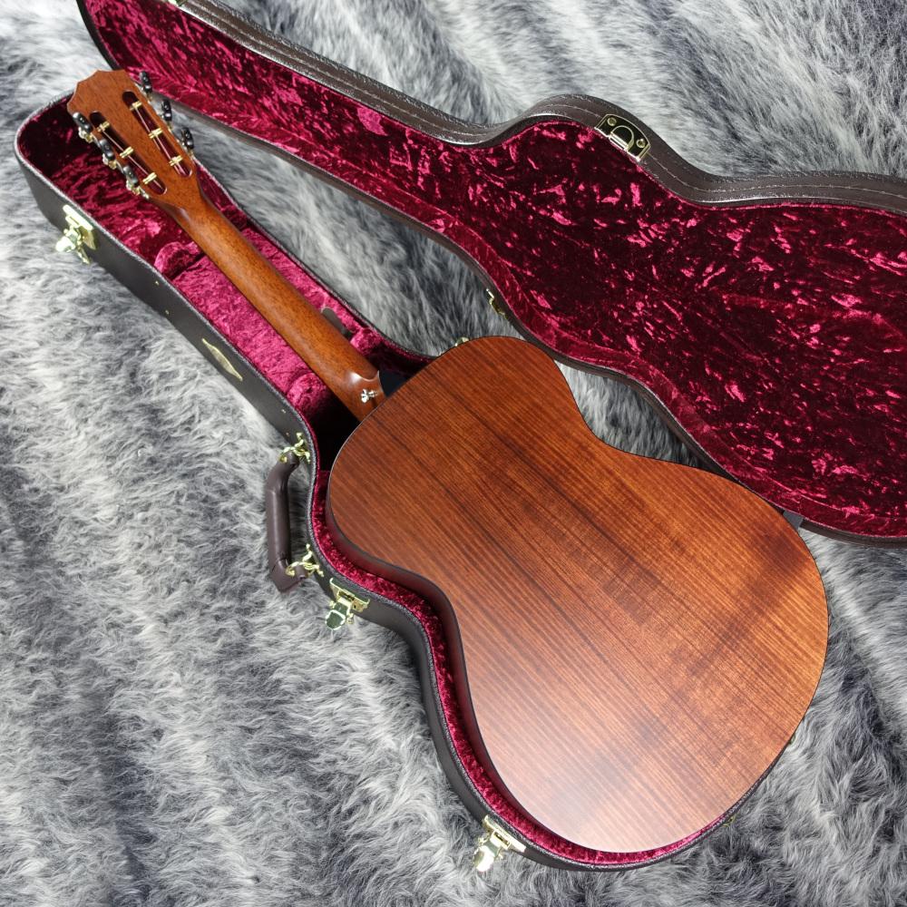 322e Blackwood 12Fret V-Class Taylor アコースティックギター