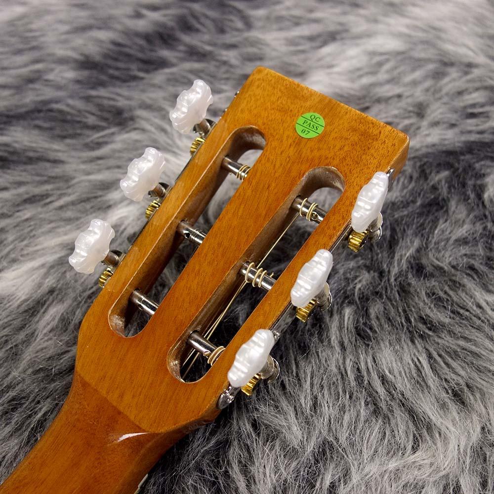 SB-10G Guitar Banjo ARIA バンジョー/マンドリン/ラップスティール