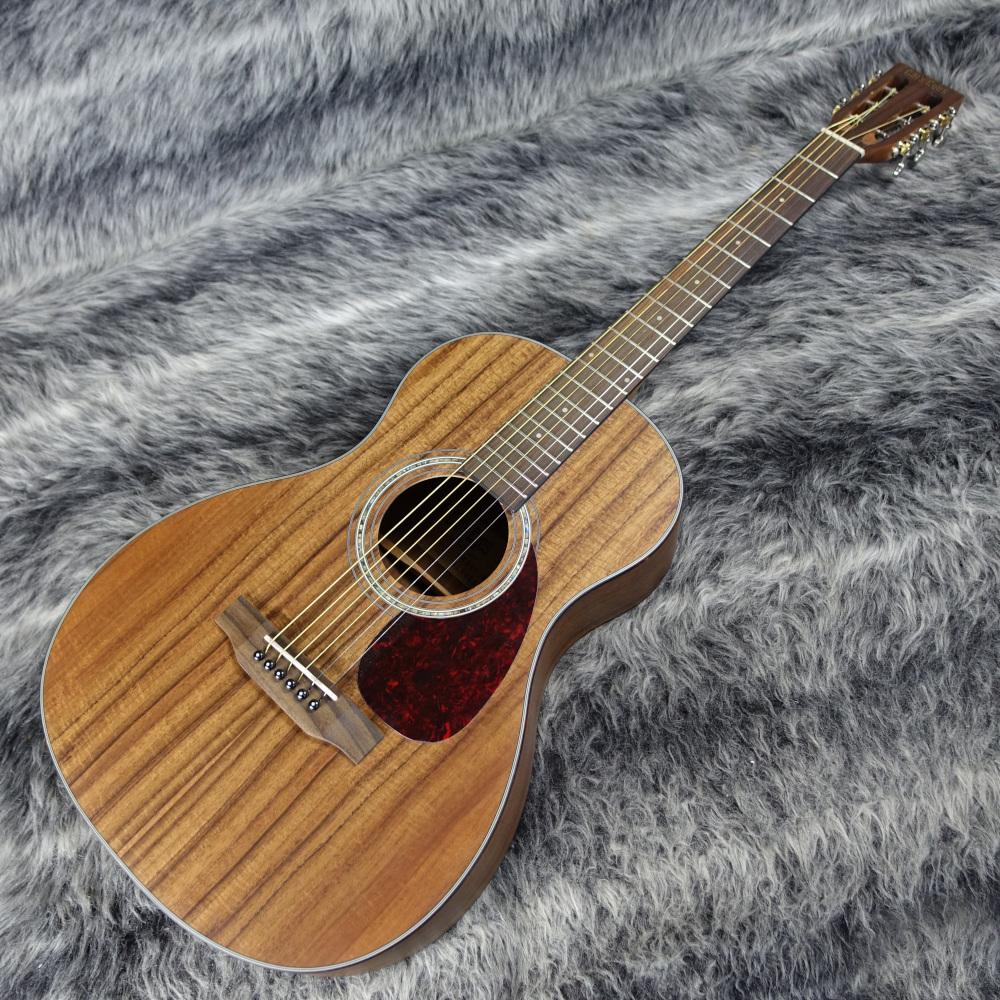 CE55C-K【チョイ傷特価品】 Cat's Eyes アコースティックギター