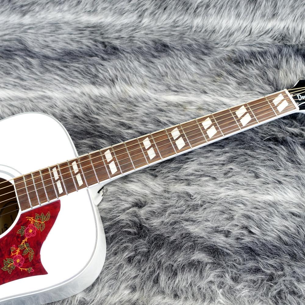 Limited Edition Dove Pro Alpine White【B級特価品】 Epiphone