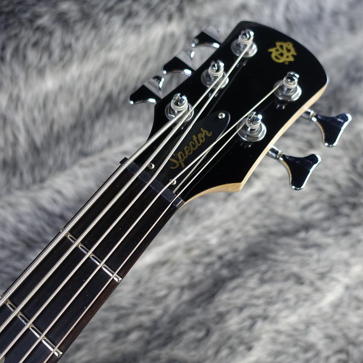 Legend 5 Standard Black Cherry Gloss Spector エレクトリック