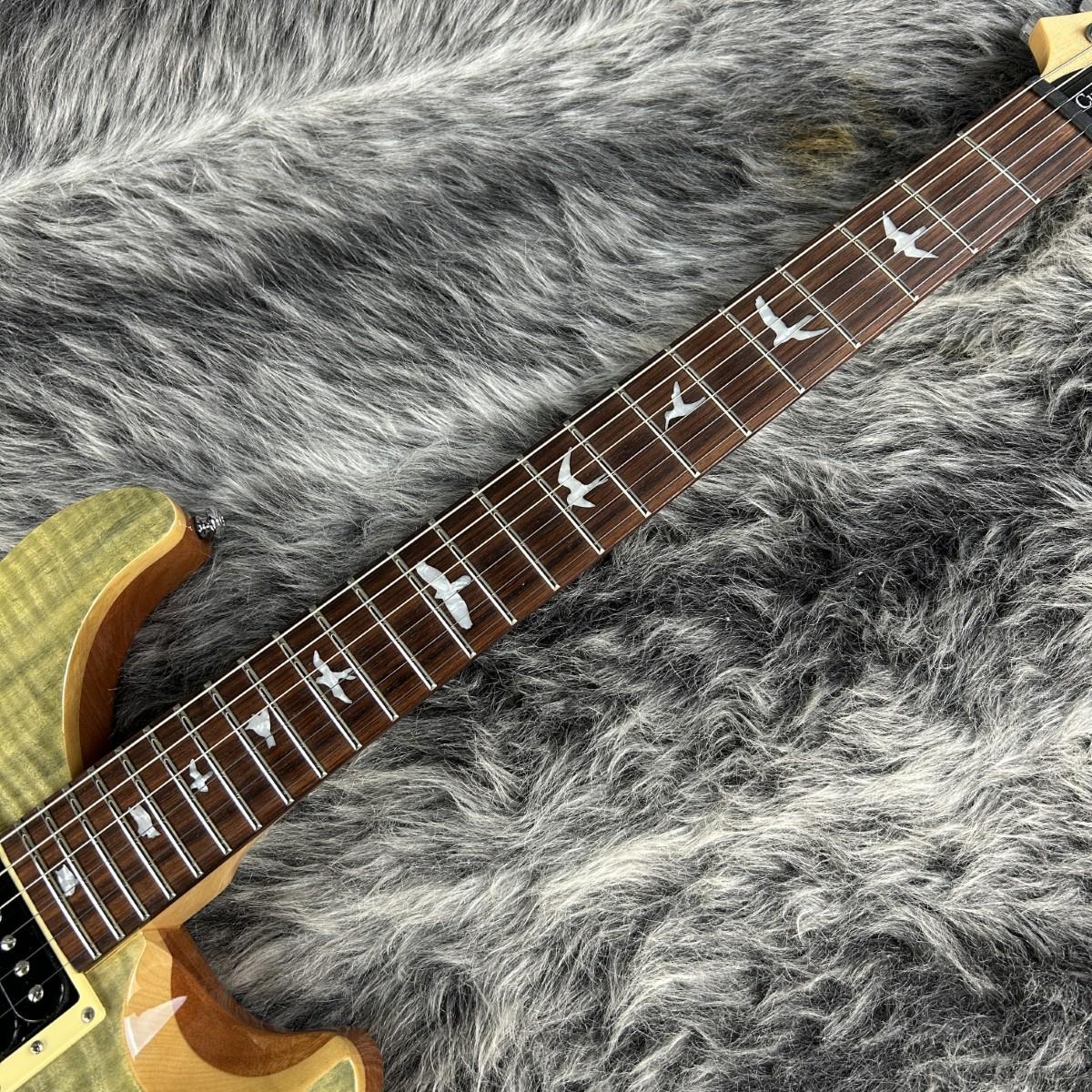 SE Custom 24 N Trampas Green Paul Reed Smith エレクトリックギター