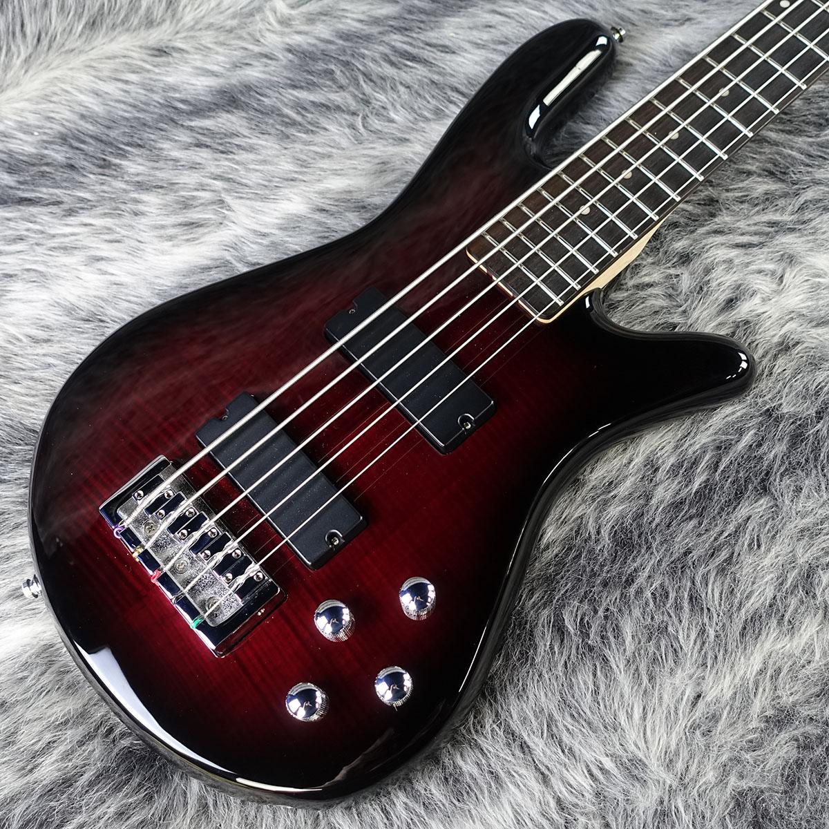 Legend 5 Standard Black Cherry Gloss Spector エレクトリック