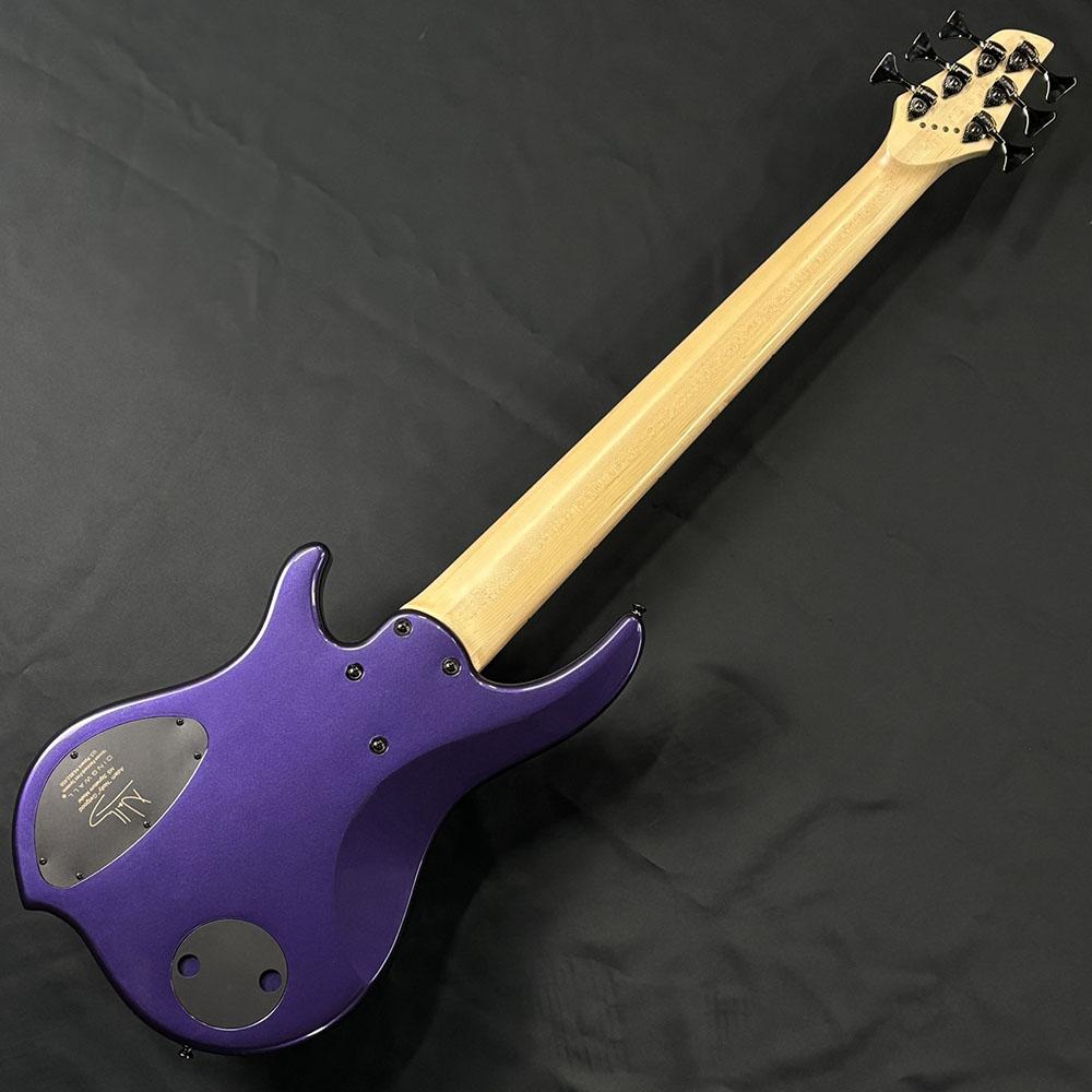 NG-3 6 String Adam 