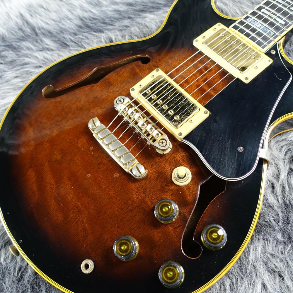 AM205 Antique Violin 1985 Ibanez エレクトリックギター その他