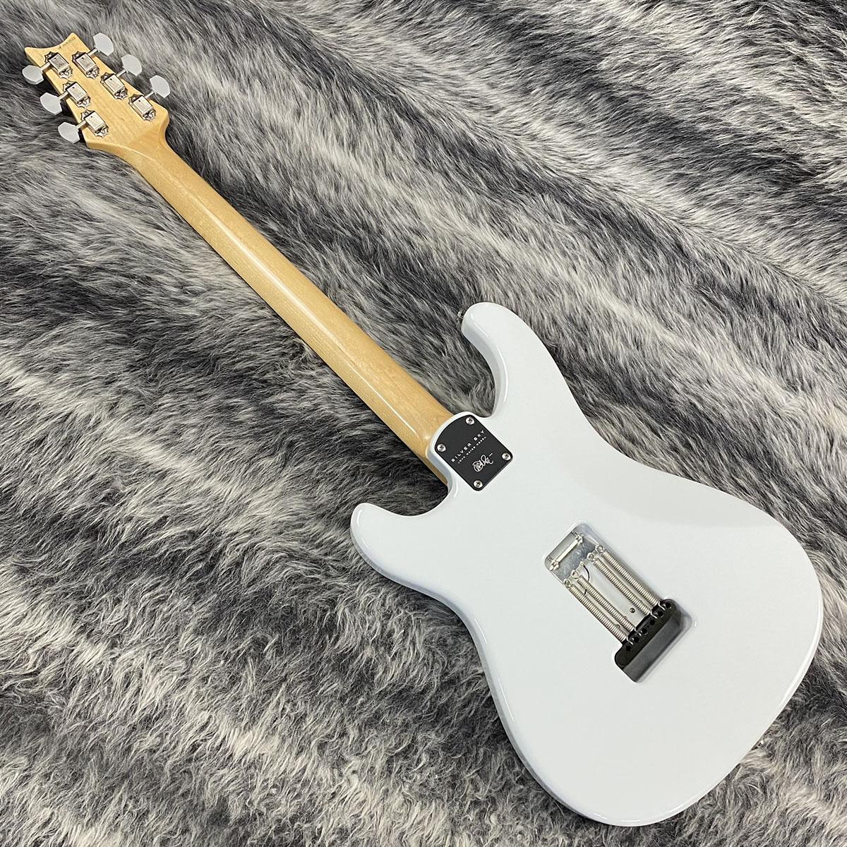 Silver Sky Rosewood Fingerboard Frost 2019 Paul Reed Smith