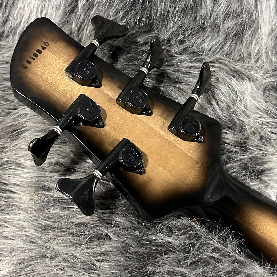 Emperor 5 Deluxe Buckeye Burl Fodera エレクトリック・ベース その他