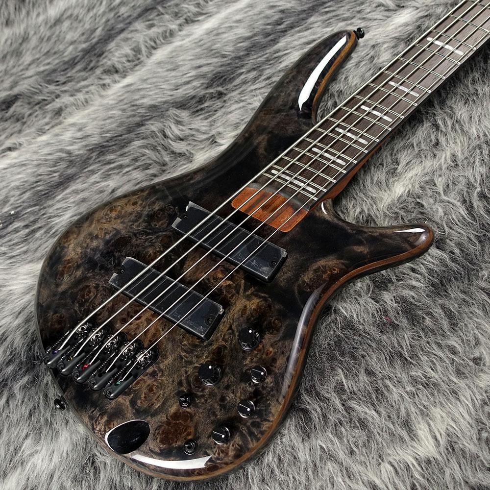 SRMS805 DTW Deep Twilight Ibanez エレクトリック・ベース その他の