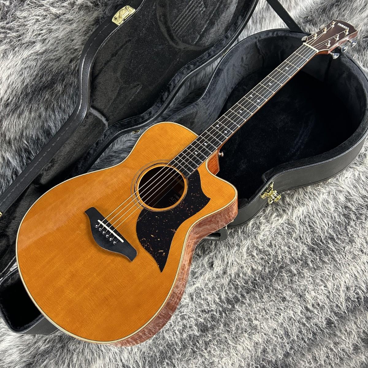 AC5M ARE YAMAHA エレクトリック・アコースティックギター エレアコ