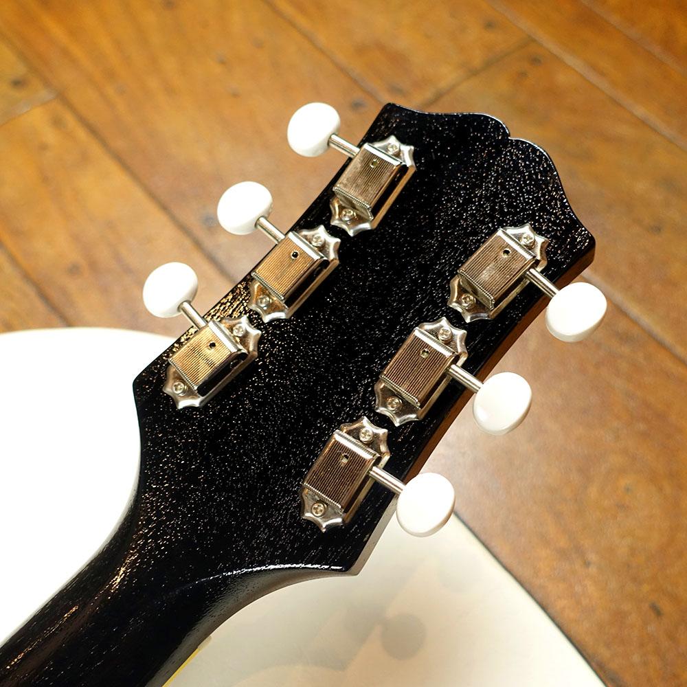 Black Bear KING SNAKE エレクトリックギター フルアコ 商品詳細