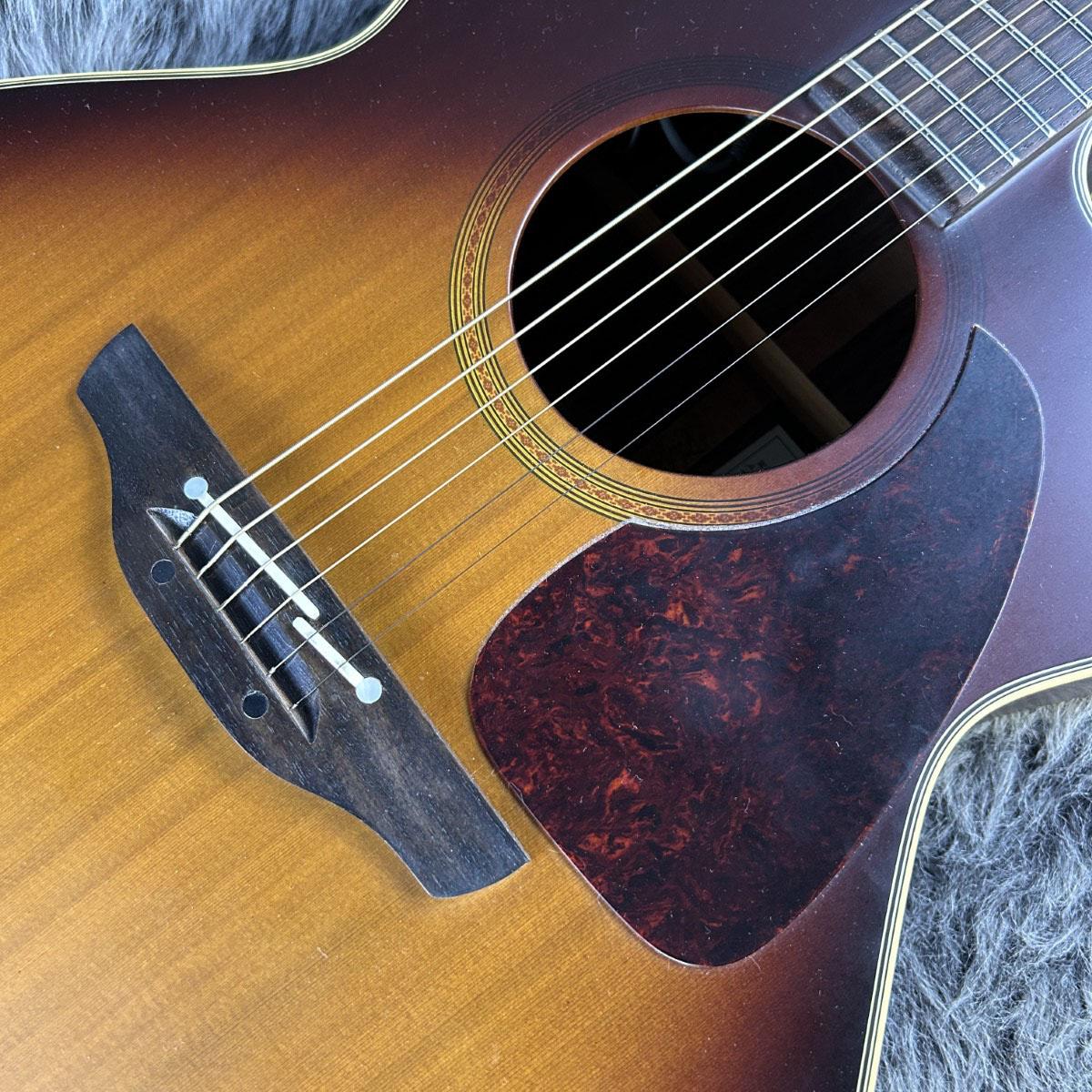 NTP-012 BS Takamine エレクトリック・アコースティックギター