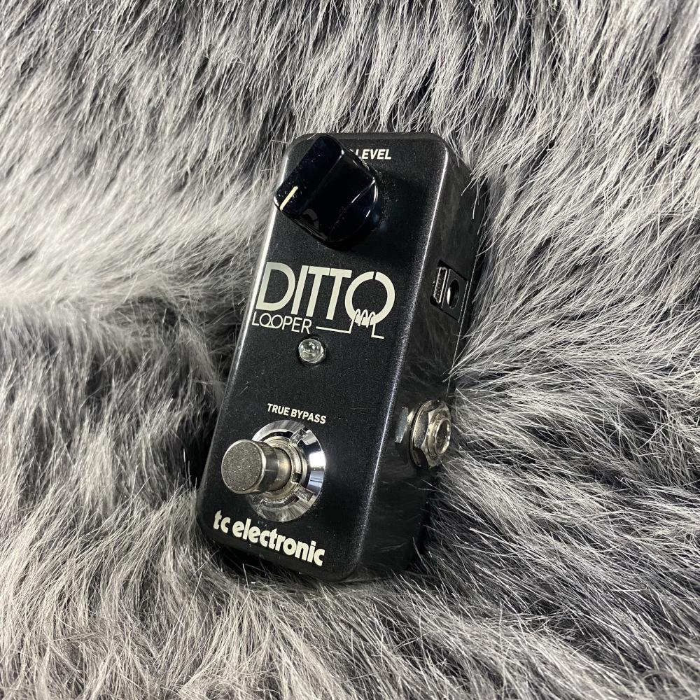 t.c. electronic DITTO LOOPER <ティーシーエレクトロニック>｜平野