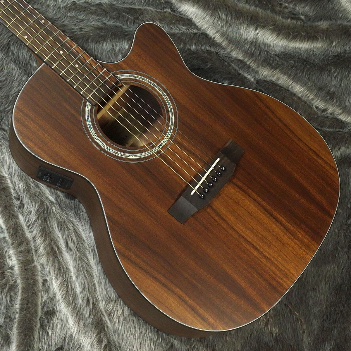 特価】 Cat'sEyes CE-1200Mプロトタイプ（試作品〕 アコースティック