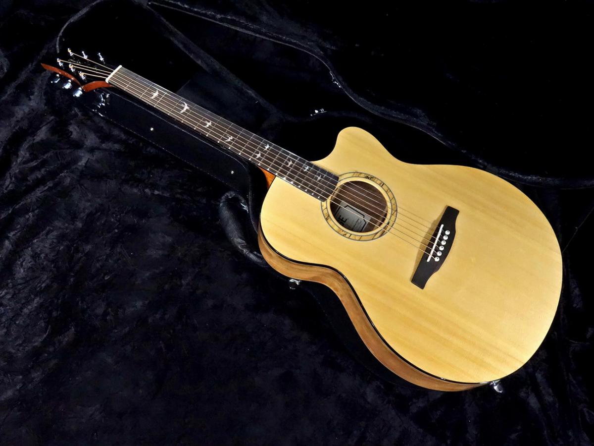 Paul Reed Smith Se A15 Alex Lifeson アウトレット特価 ポールリードスミス 平野楽器 ロッキン オンラインストア