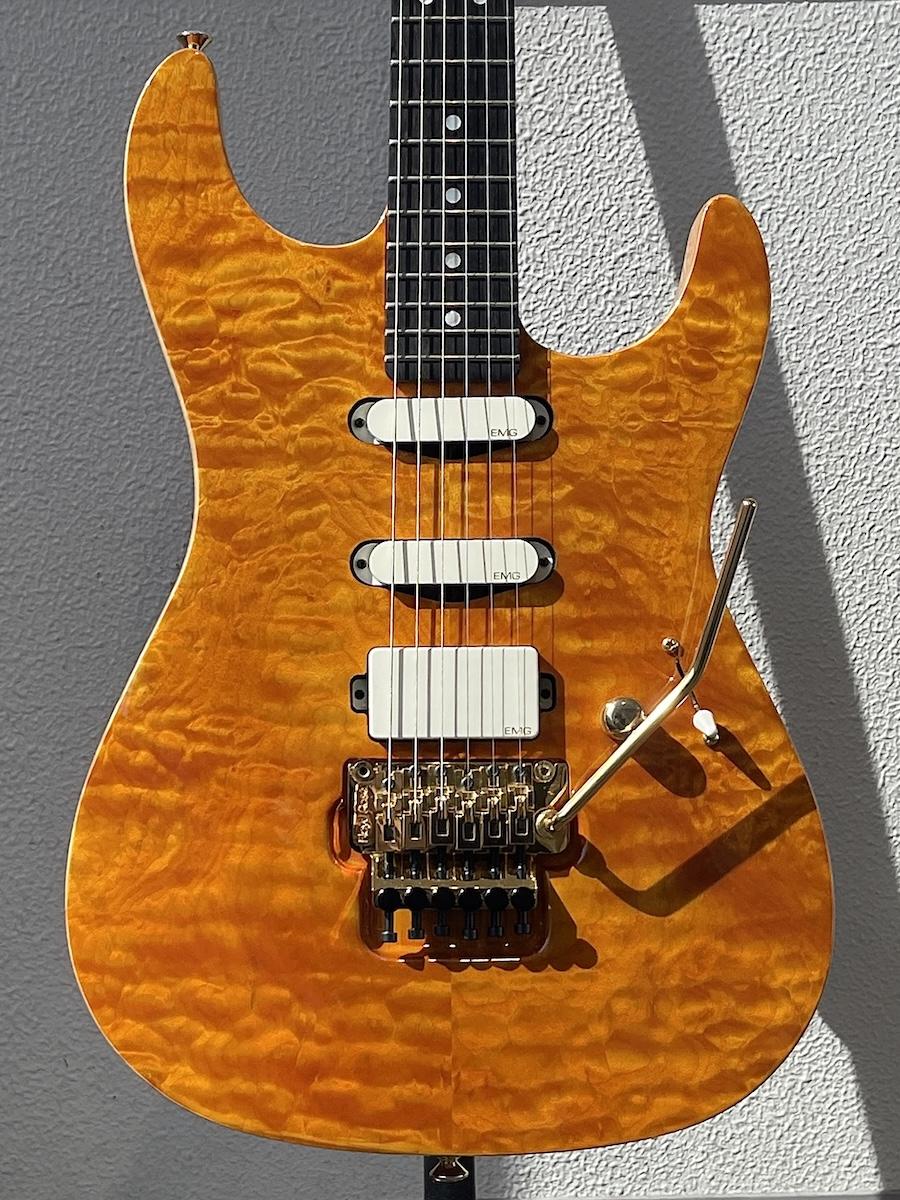 ギター Valley Arts M Series Custom Pro SRE270 Valley Arts Custom Pro SRE-270-SL <バレーアーツ>｜平野楽器