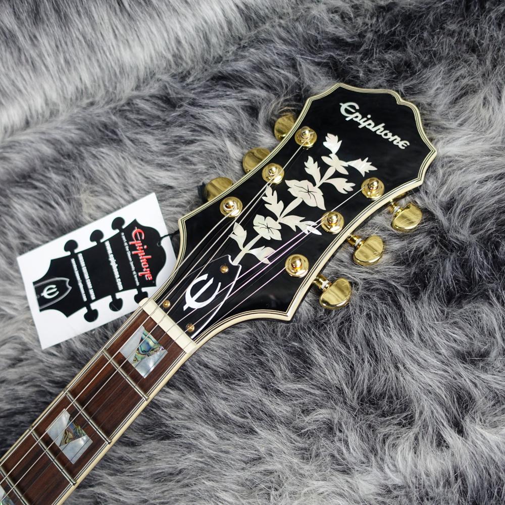 Epiphone Sheraton II Pro Ebony <エピフォン>｜平野楽器