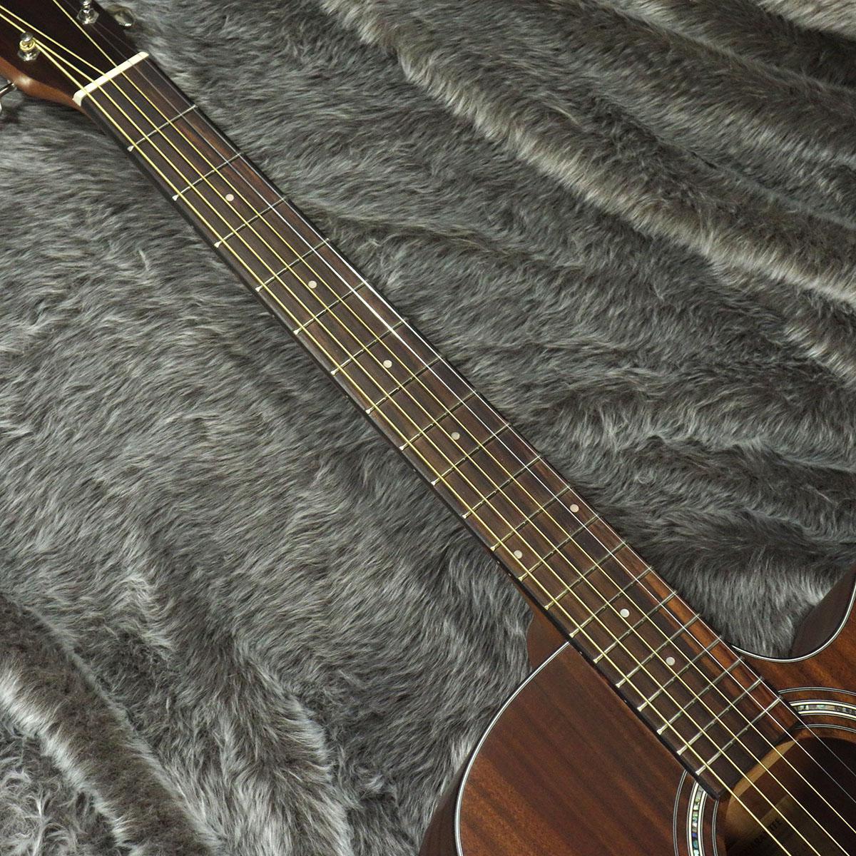 Cat's Eyes CE62T-EA <キャッツアイ>｜平野楽器 ロッキン