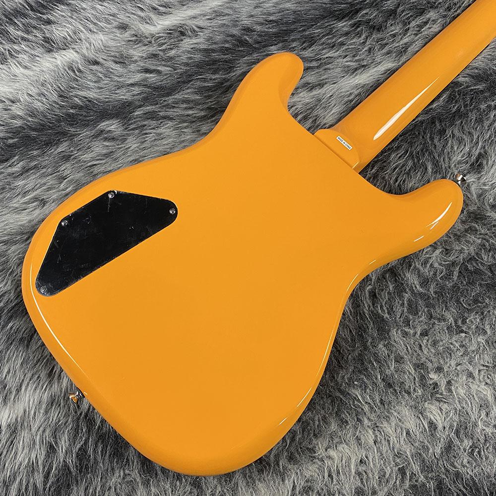 Epiphone Newport Bass California Coral <エピフォン>｜平野楽器