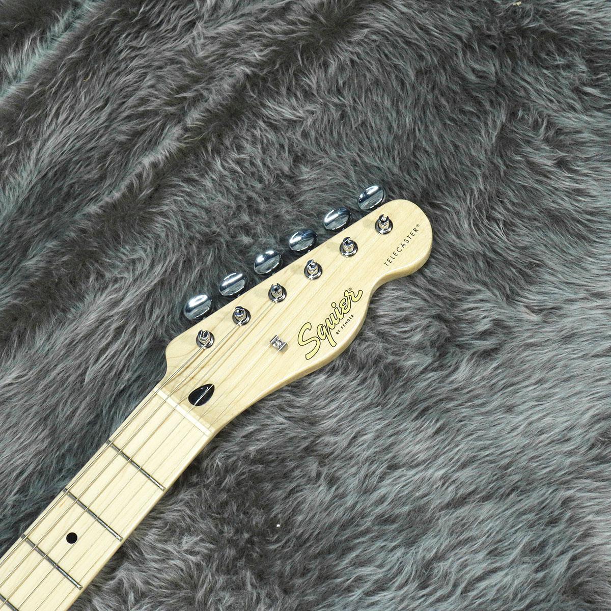 Squier Paranormal Carbronita Telecaster Thinline MN Olympic Squier Paranormal Carbronita Telecaster Thinline MN Olympic