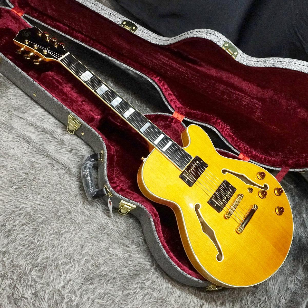 Crews GBNY-1 STP/HB <クルーズ>｜平野楽器 ロッキン オンライン
