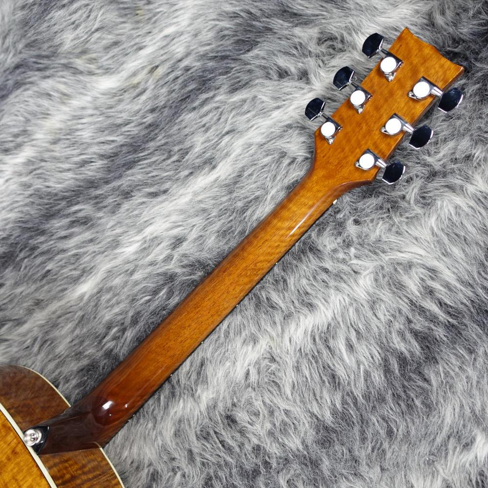 Morris G-021E VYL <モーリス>｜平野楽器 ロッキン オンラインストア