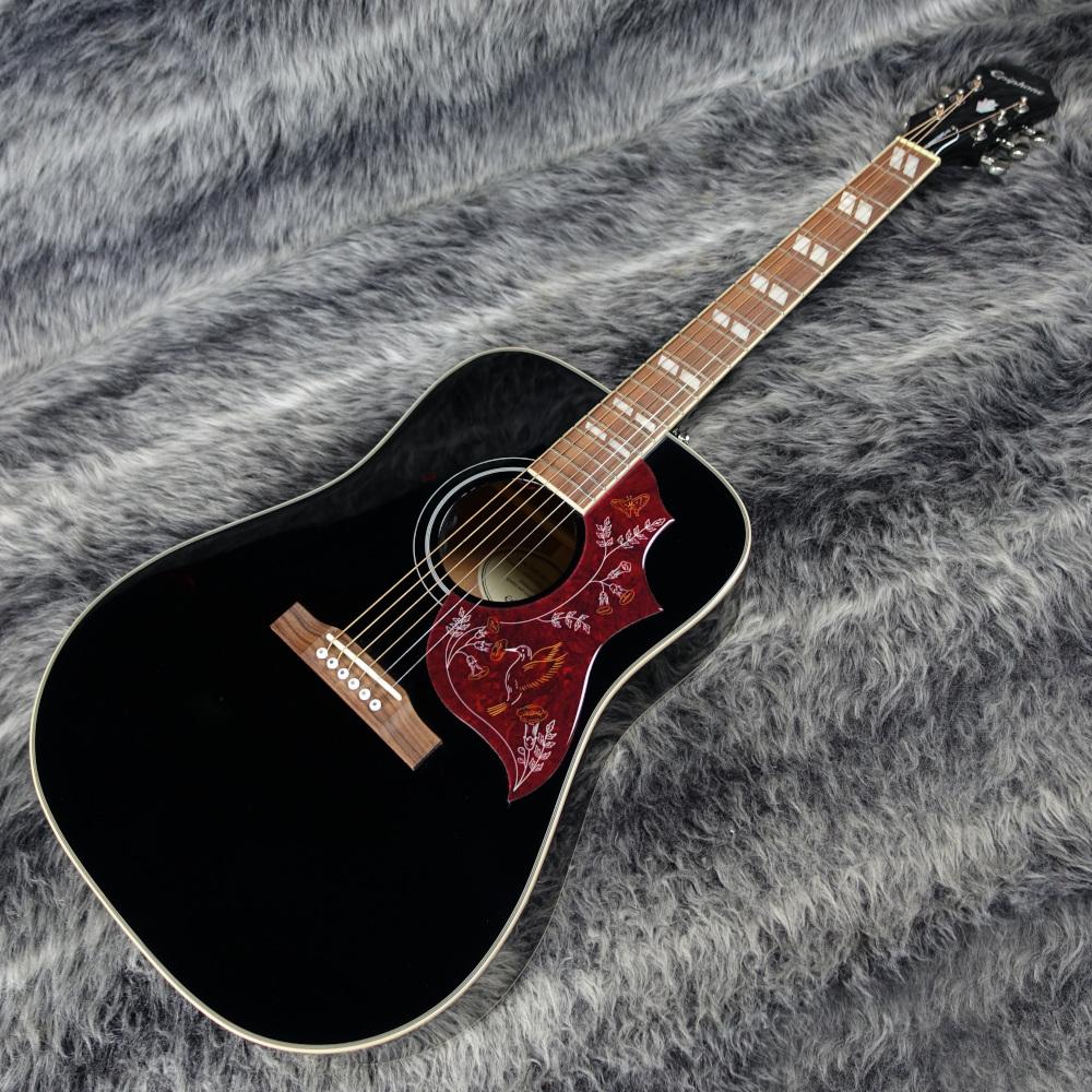 Epiphone Hummingbird Pro Ebony <エピフォン>｜平野楽器