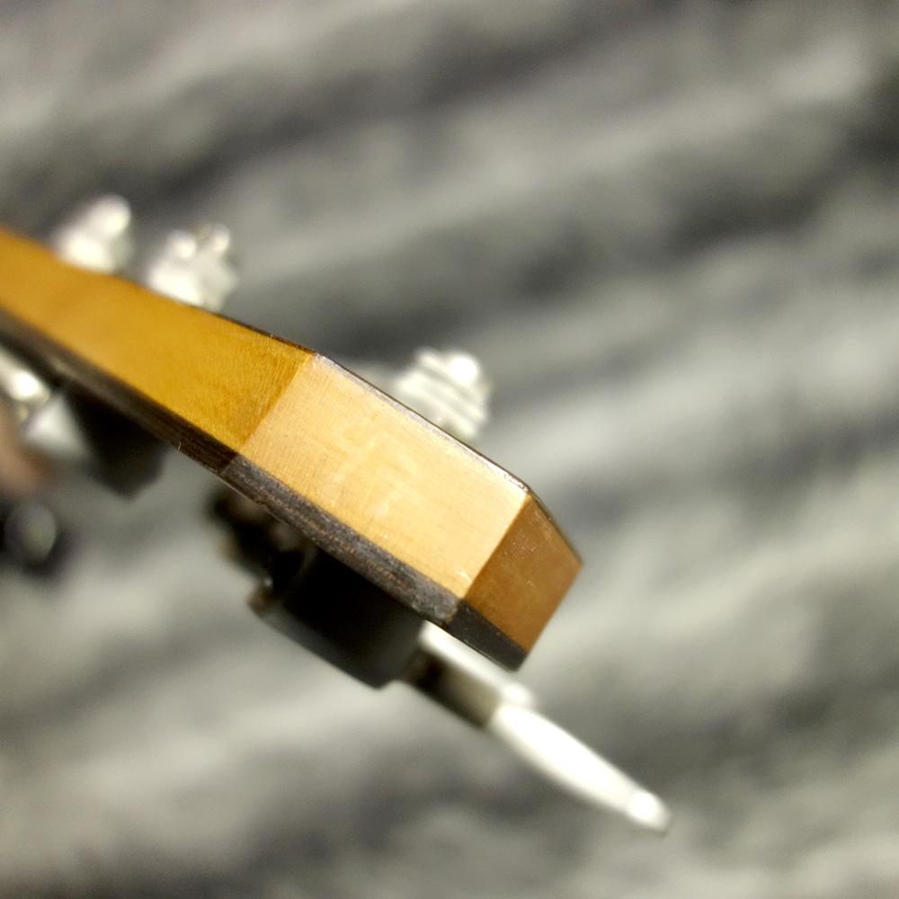 Rick Turner Electroline Fretless Bass 5st <リックターナー>｜平野 
