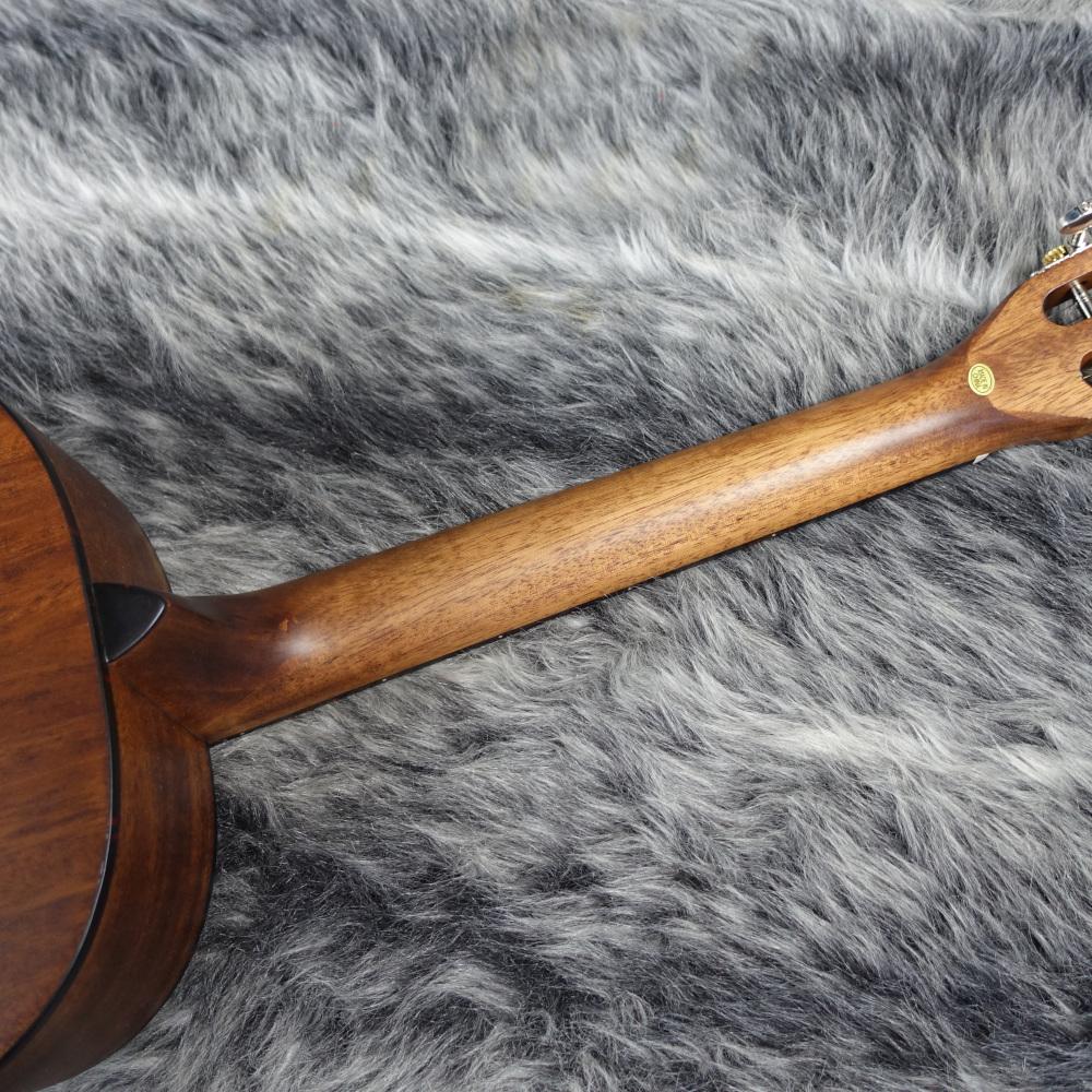 キャッツアイ　アコギ Cat's Eyes CE85 <キャッツアイ>｜平野楽器 ロッキン オンラインストア