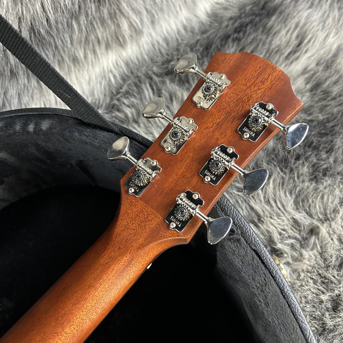 YAMAHA AC5M エレアコ 新品定価198,000円　調整済み YAMAHA(ヤマハ) AC5M ARE Vintage Natural (エレアコ) お茶の水駅前店