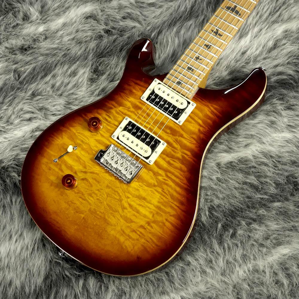 Paul Reed Smith(PRS) SE CUSTOM24 レフティ