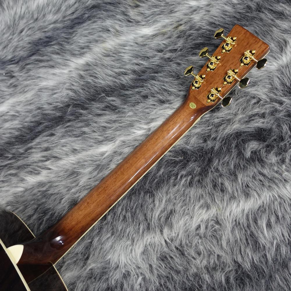 cats eyes ギター Cat's Eyes CE85 <キャッツアイ>｜平野楽器 ロッキン オンライン