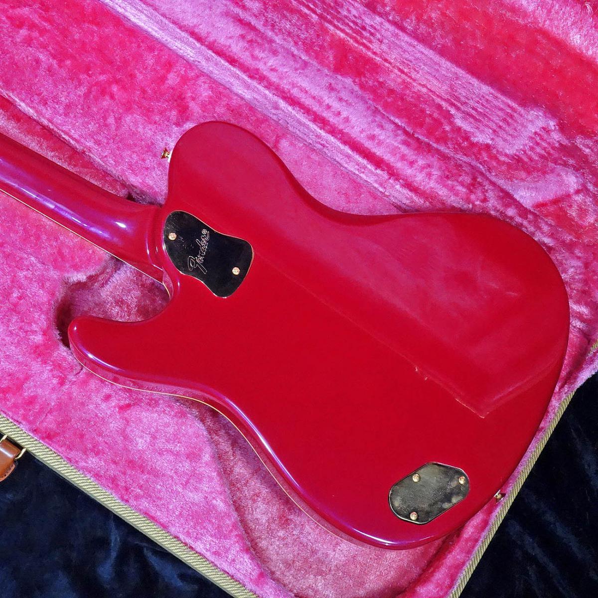 Fender Japan TERRY-1 30th Anniversary <フェンダージャパン