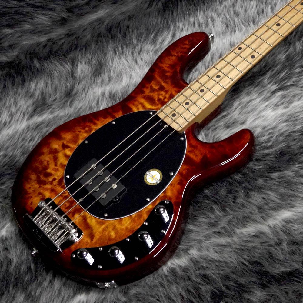 Sterling by MUSIC MAN Ray34QM ILB <スターリングバイミュジックマン ...