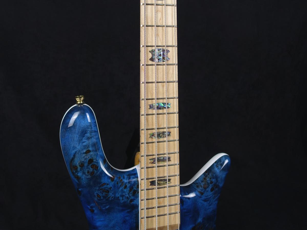 Spector Euro 4 CST Japan Exclusive Black & Blue w/White Back Gloss