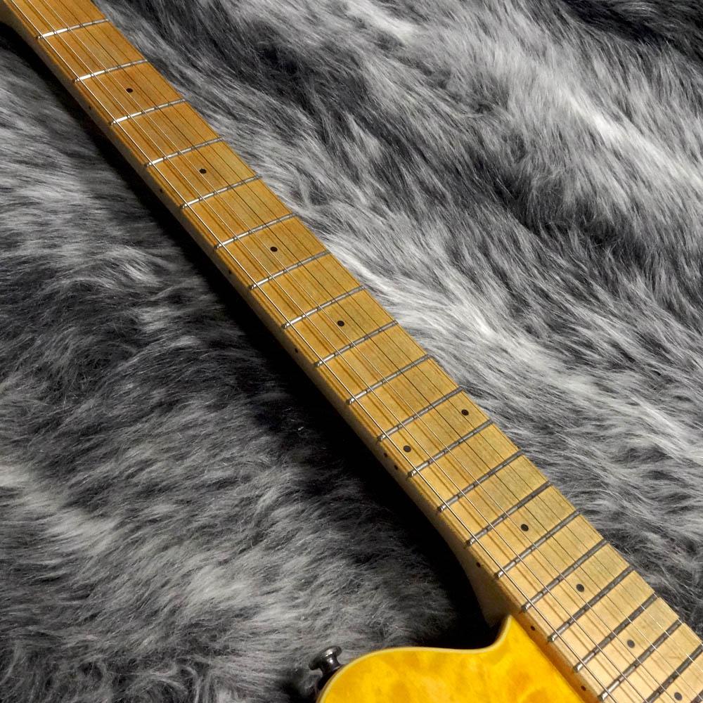 Sterling by MUSIC MAN AX40 Trans Gold <スターリングバイミュジック