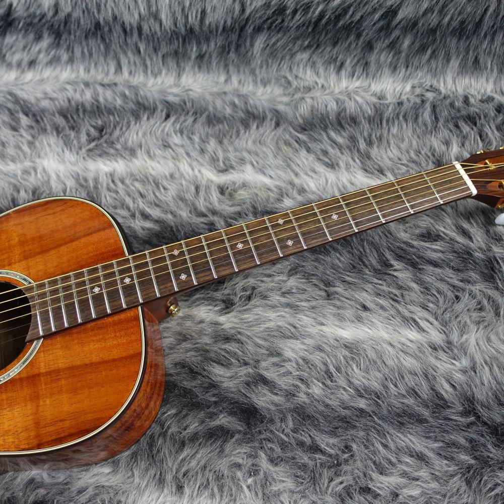ギター Takamine PTU431K N TAKAMINE PTU431K N|ドルフィンギターズ
