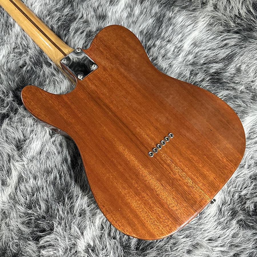 ギター Fender 69s telecaster thinline Mexico 2007 Fender (Mexico) Classic Series '69 Telecaster Thinline