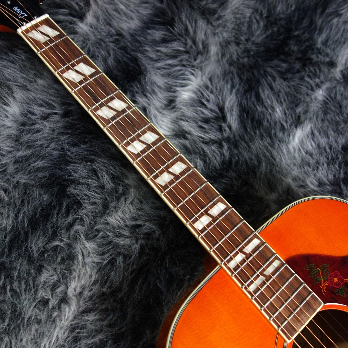 Dove Studio Violin Burst 2ND