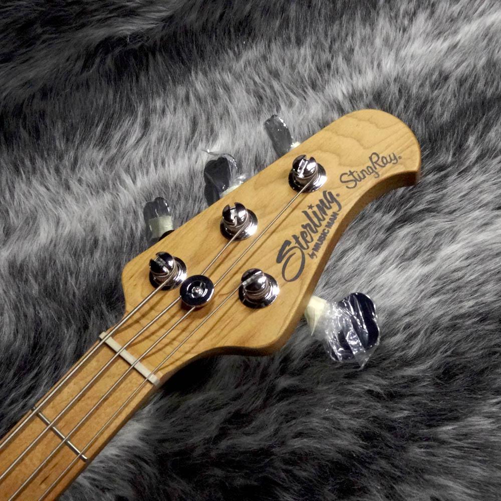 Sterling by MUSIC MAN Ray34QM ILB <スターリングバイミュジックマン