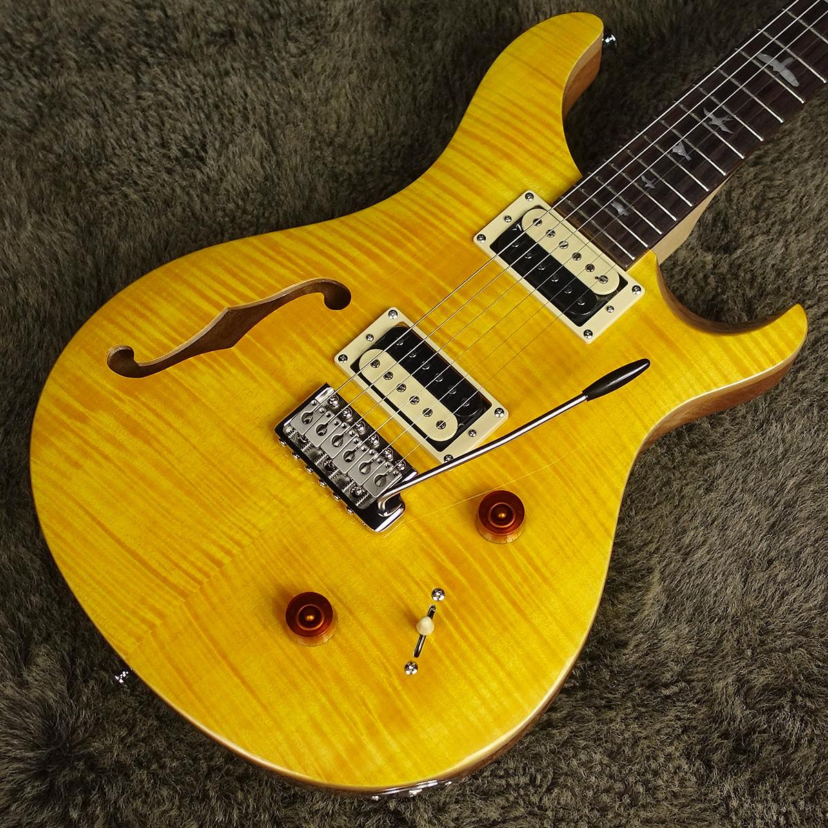 PRS SE カスタム22 セミホロウ - 通販 - gofukuyasan.com