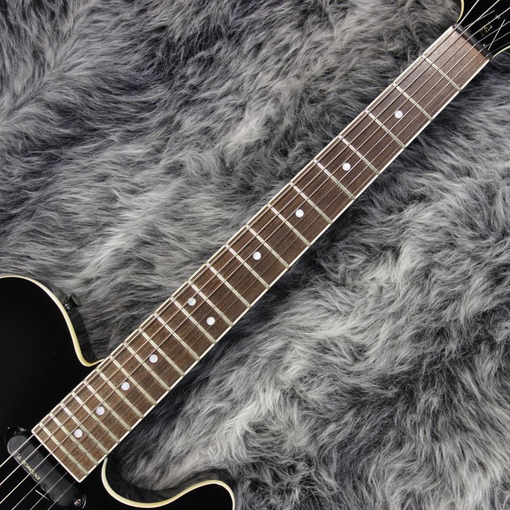 Fernandes Tej 70 フェルナンデス 平野楽器 ロッキン オンラインストア