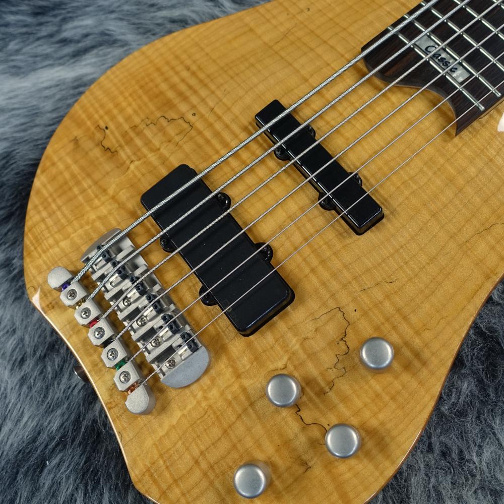 Washburn CB-16SP <ワッシュバーン>｜平野楽器 ロッキン オンラインストア