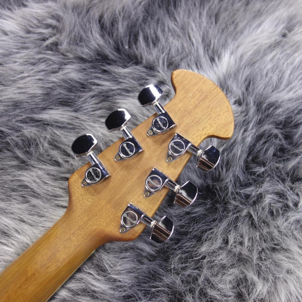 Applause AE-248-1 <アプローズ>｜平野楽器 ロッキン オンラインストア