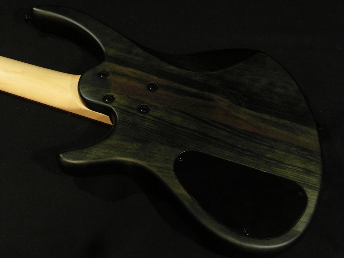 新品◆ epiphone toby by tobias toby deluxe iv trans black