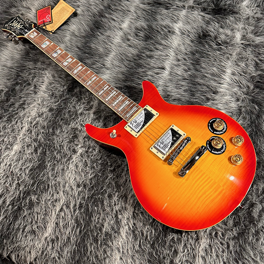 DC PRO, Black Cherry | Epiphone