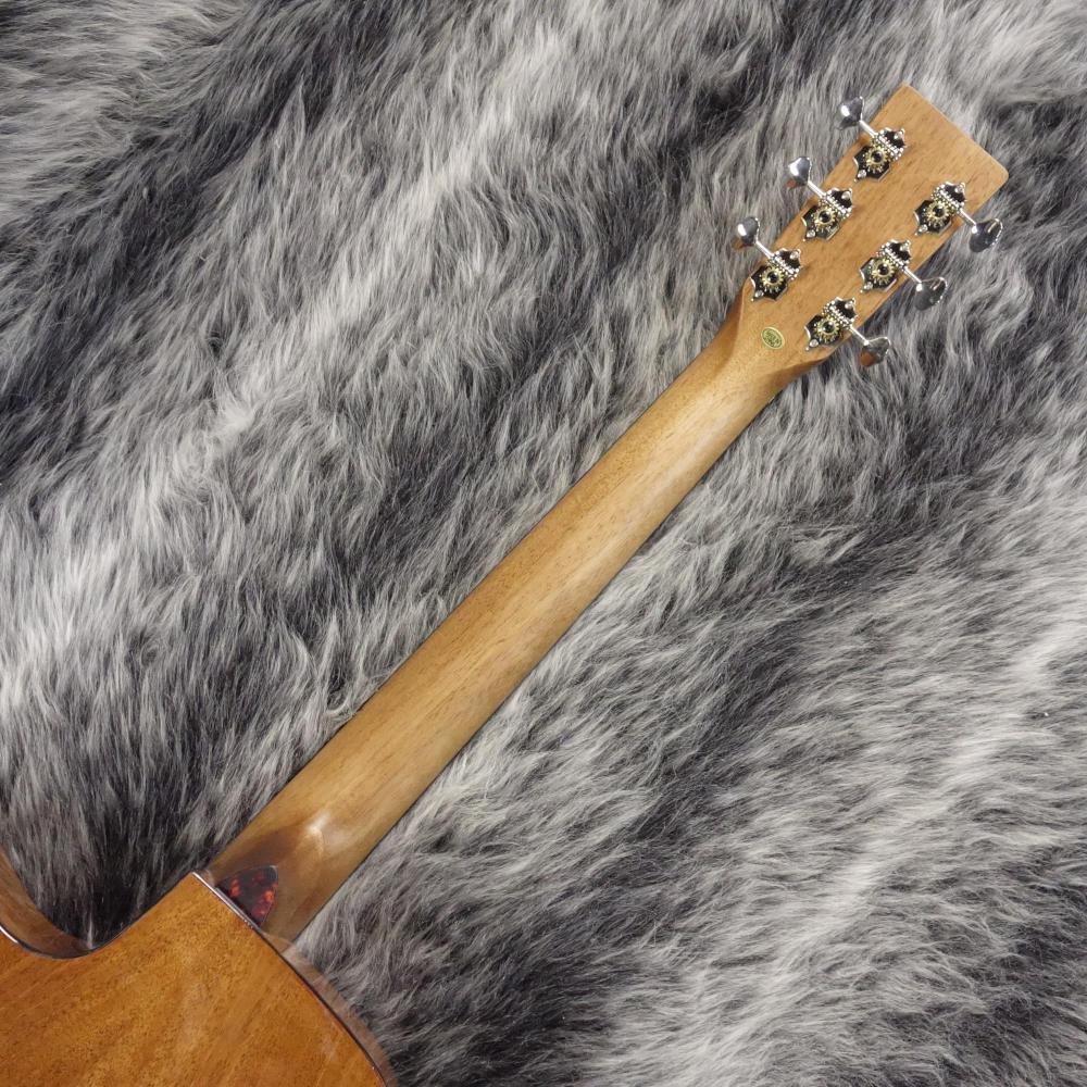 【未使用品】 キャッツアイ アコースティック・ギター カバー付き Amazon.co.jp: Gator Cases ゲーター ハードケース アコースティック