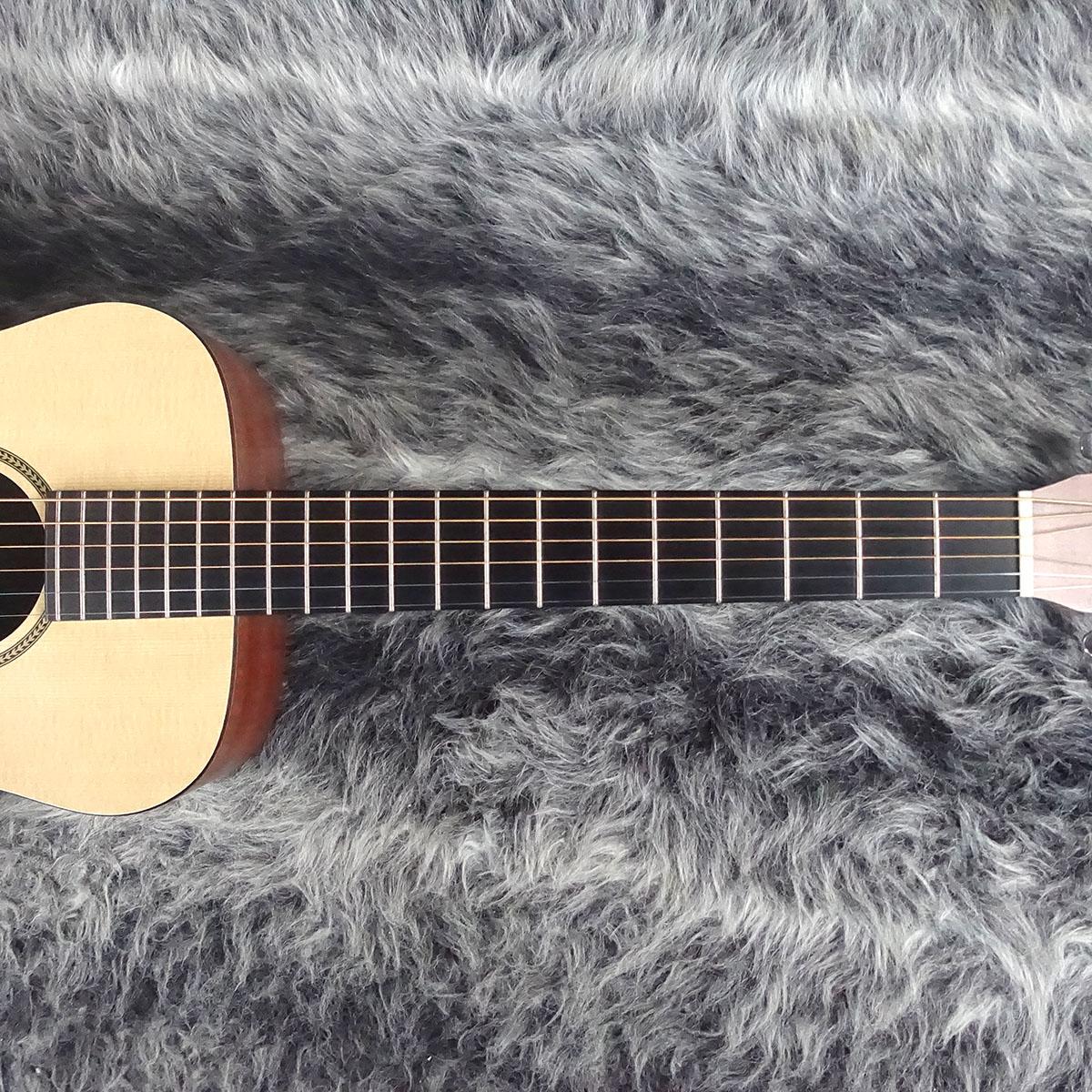 Martin & Co. LXM アコースティックギター マーティン Martin マーチン LXM Little Martin【 リトル・マーチン ミニ