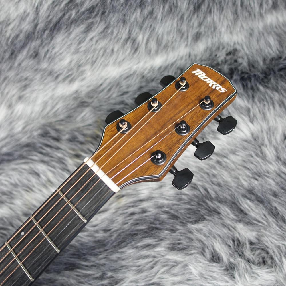 morris F-001TS　モーリス　アコースティック　ギター 中古品 Morris F-01 TS - 奈良市のギターショップ “Sunshine