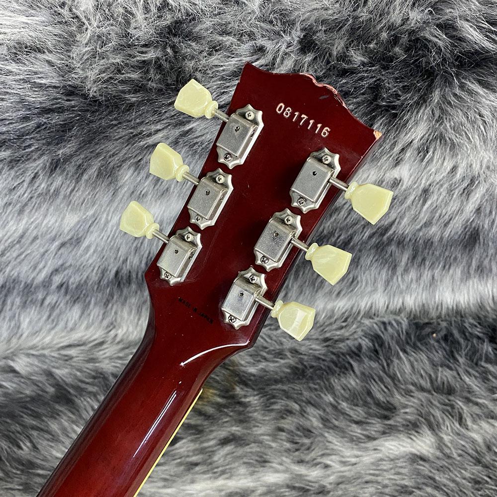 Tokai LS Custom Order Model <トーカイ>｜平野楽器 ロッキン