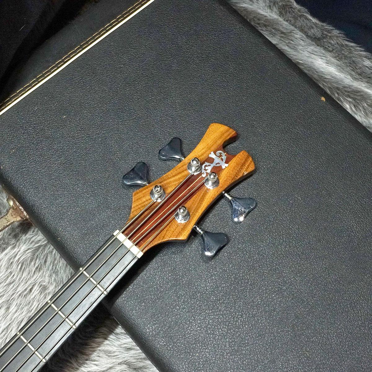 トバイアス　TOBIAS BASS 専用ハードケース Tobias Guitars Bass Hardcase